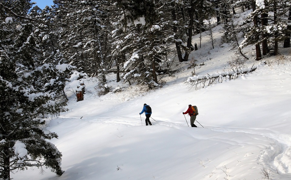 Choisir le matériel adapté pour une bonne randonnée en ski de fond